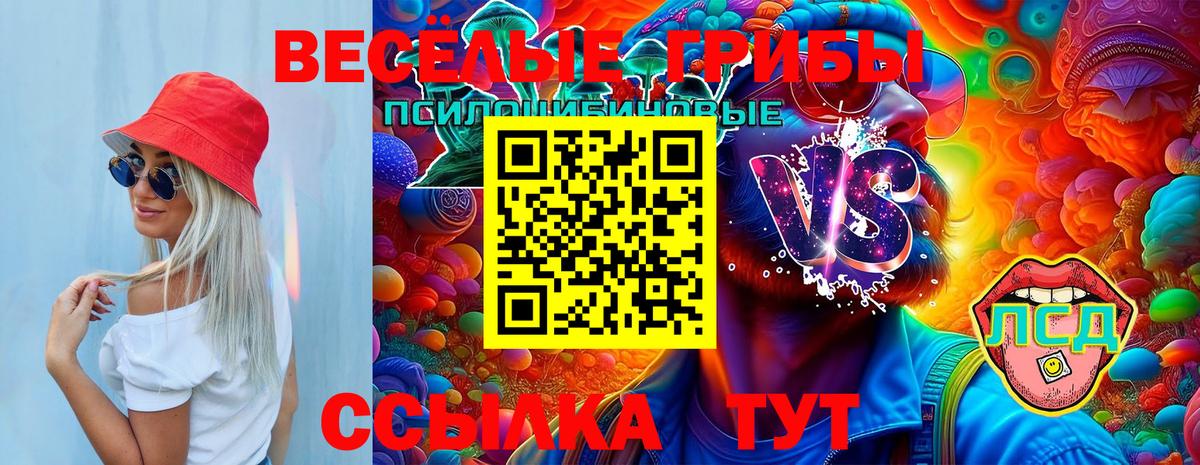 Саранск  Псилоцибиновые грибы MAGIC MUSHROOMS  продажа наркотиков  Вход с VPN 