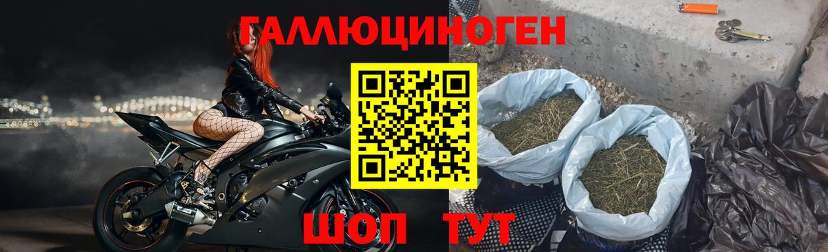 Галлюциногенные грибы Psilocybe Саранск